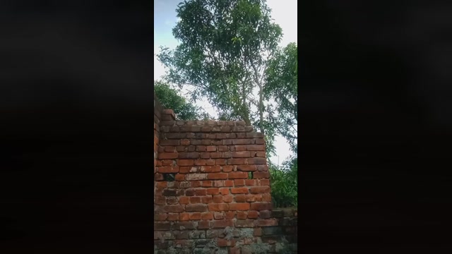 chiranjitho1  29-08-2022